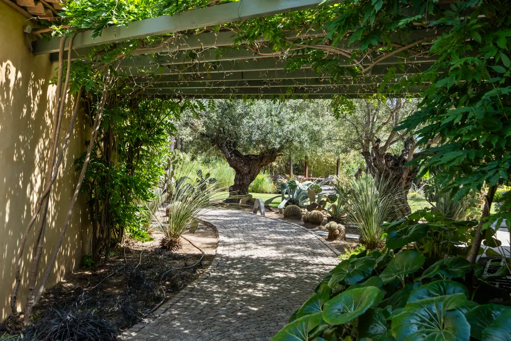 A vine-covered pergola walkway running beside the house into the garden
