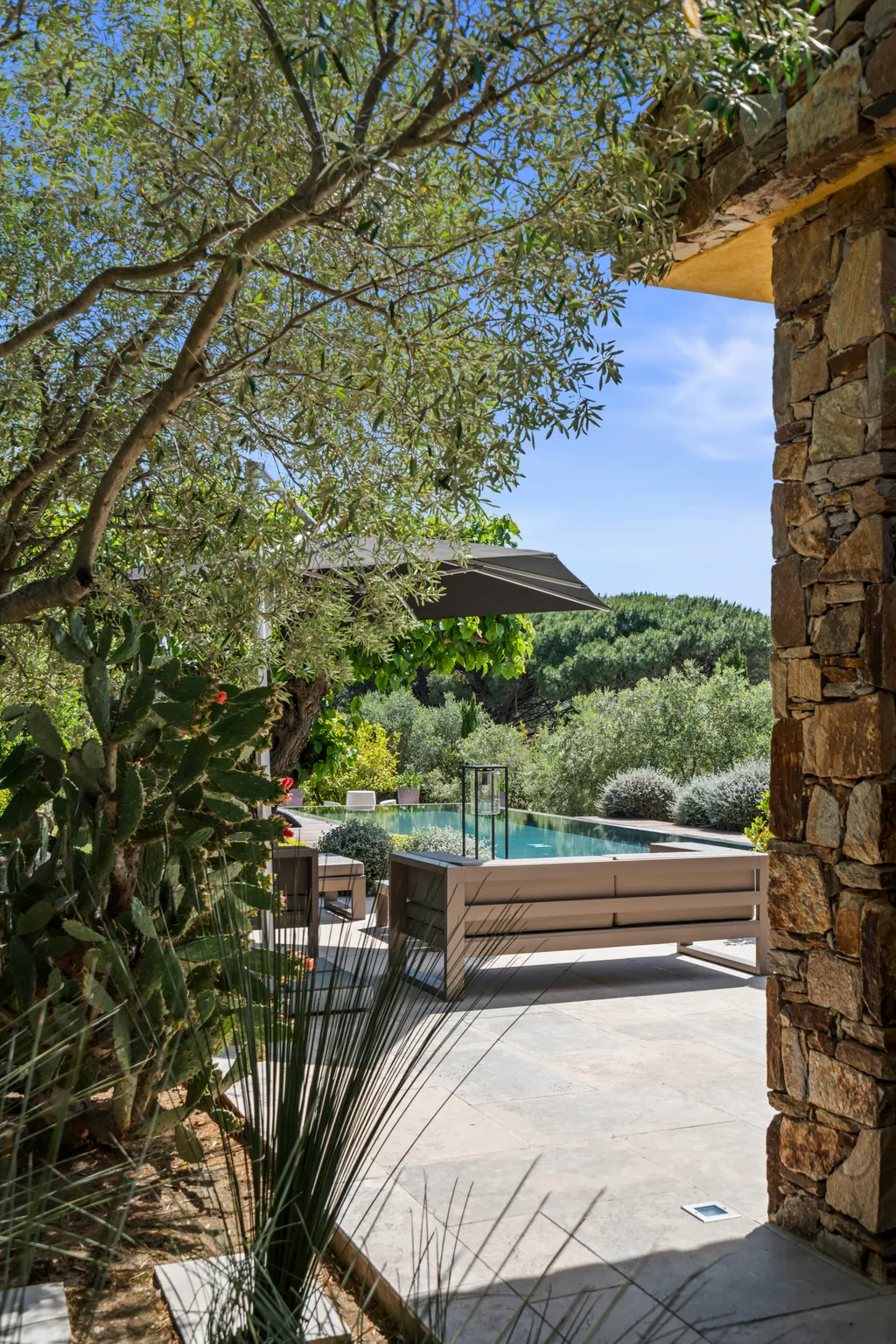 The pool and terrace glimpsed through a stone archway, framed by an olive tree