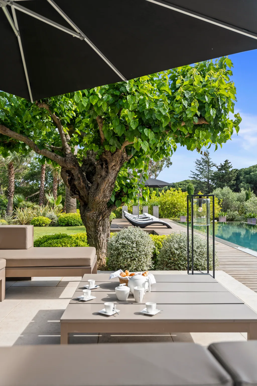 Breakfast laid on a shaded terrace table beneath a mulberry tree, the pool beyond