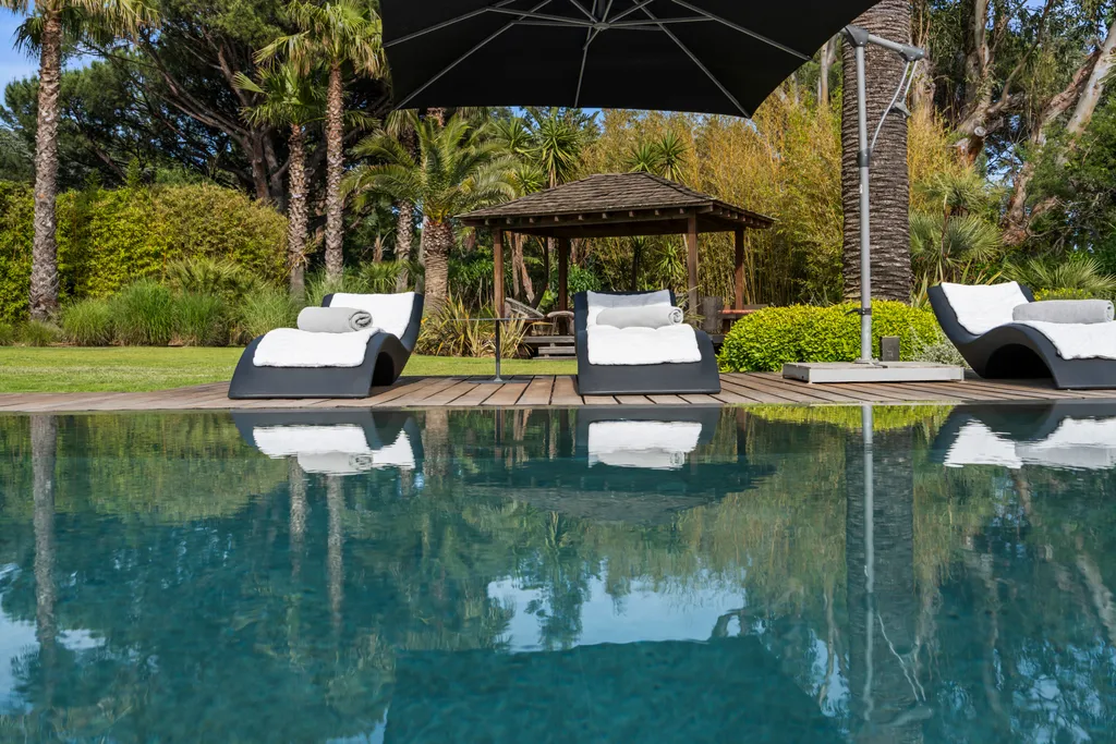 Loungers at the pool's edge with the garden pavilion and palms behind
